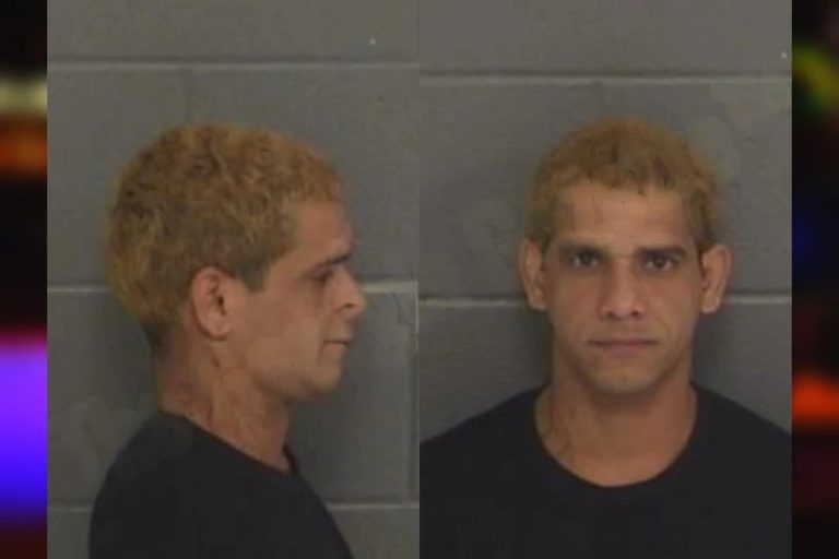 Jean Delgado Garmendia mugshot – Barrow County , Georgia Jean Delgado Garmendia