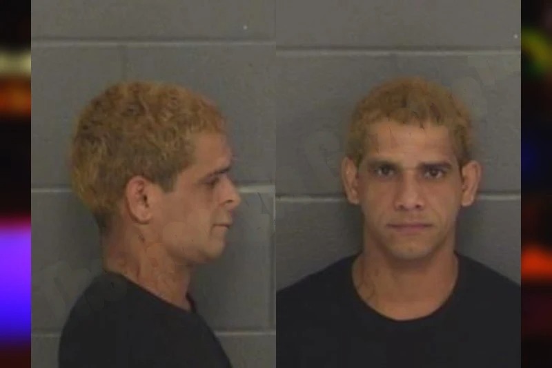 Jean Delgado Garmendia Mugshots