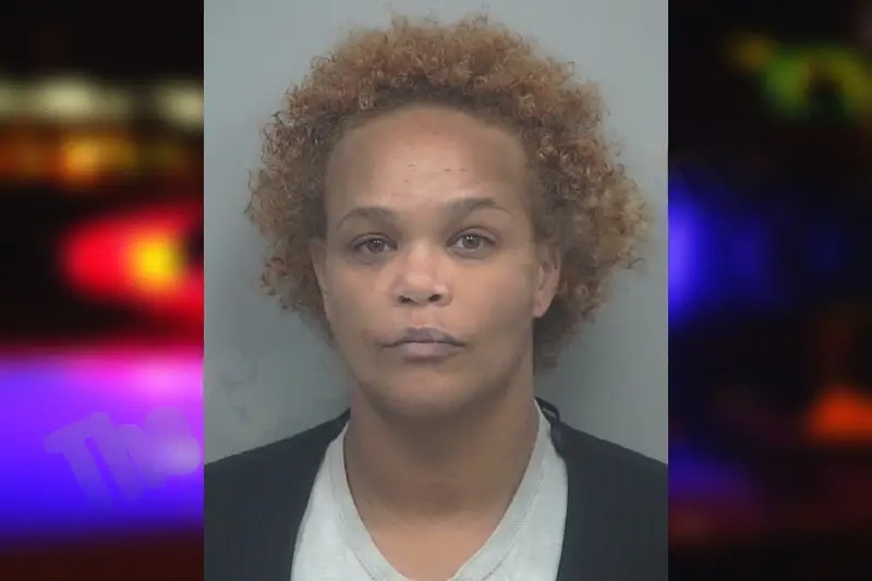 Jelizabeth Rivera mugshot