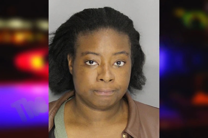 Jenabou Cisse Mugshots