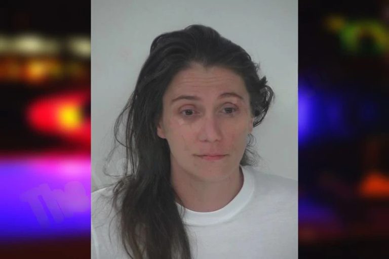 Jenisa Gomez mugshot – Fayette County , Georgia Jenisa Gomez