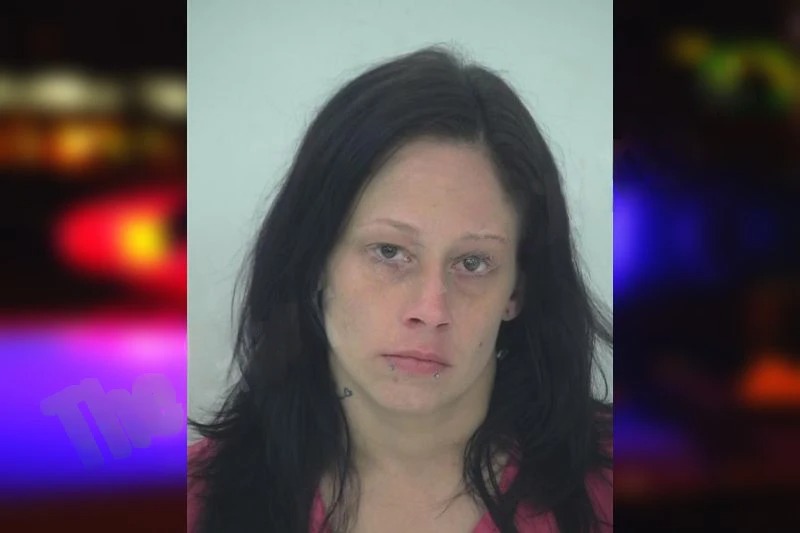 Jennifer Chambers Mugshots