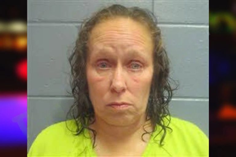 Jennifer Chambliss mugshot – Lee County , Georgia Jennifer Chambliss