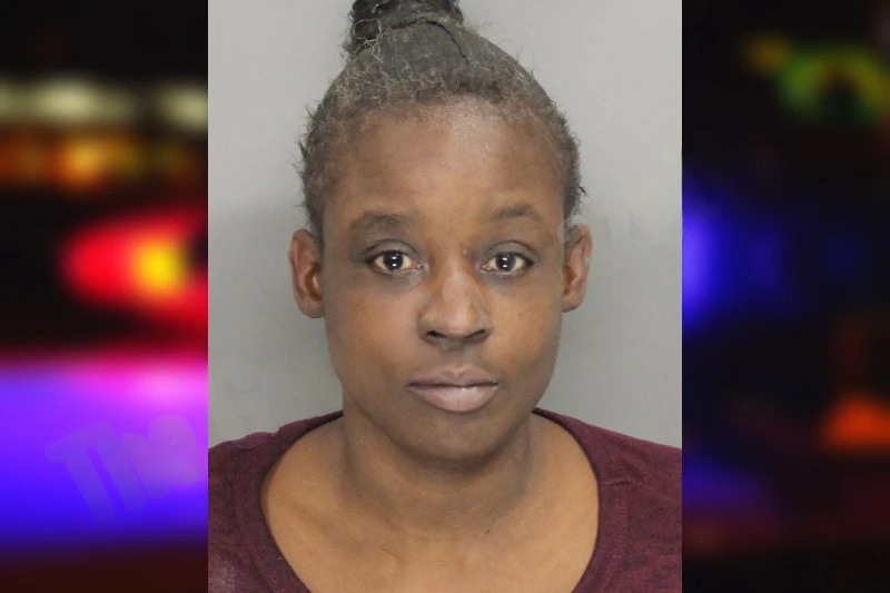 Jennifer Collins mugshot