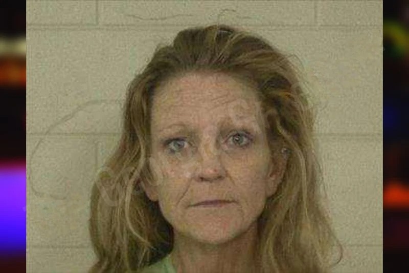 Jennifer Fleck mugshot