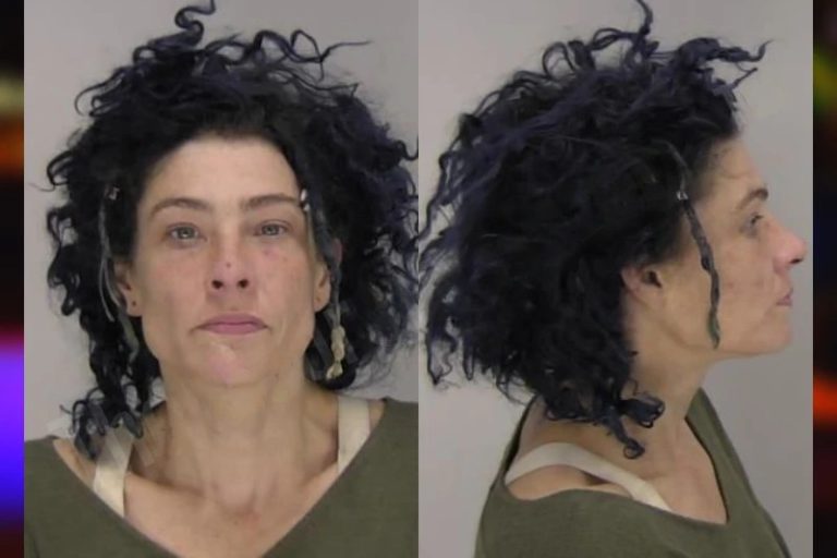 Jennifer Griffith mugshot – Cobb County , Georgia Jennifer Griffith