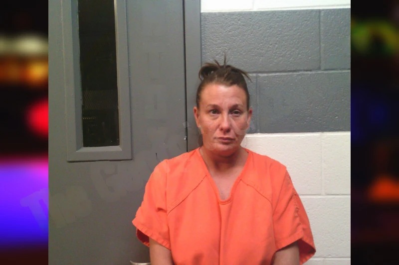 Jennifer Hayes mugshot