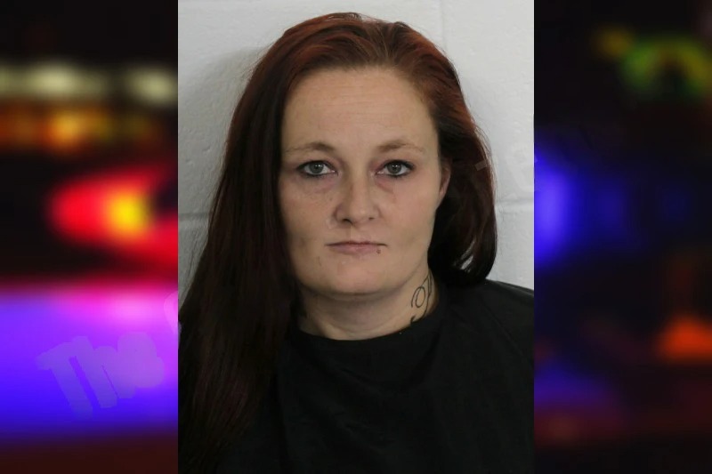 Jennifer Johnson Mugshots