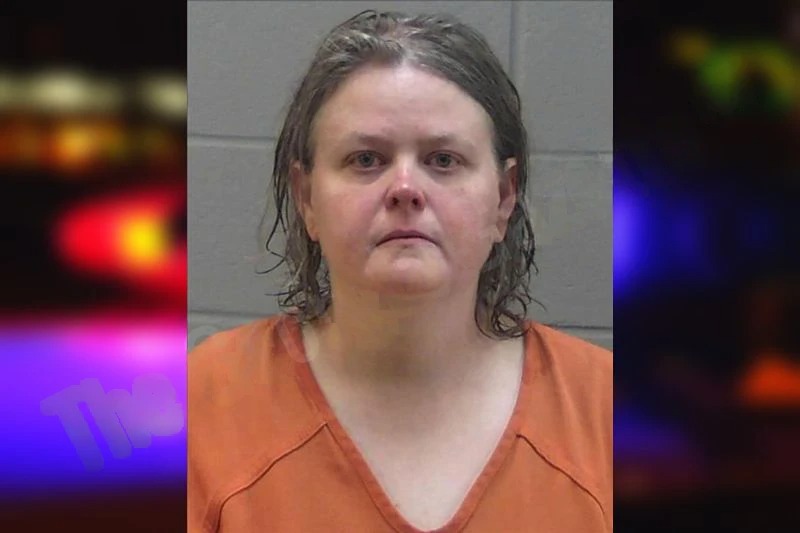 Jennifer Johnson Mugshots