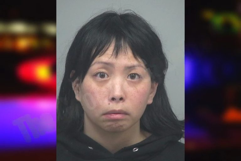 Jennifer Strawn mugshot – Gwinnett County , Georgia Jennifer Strawn