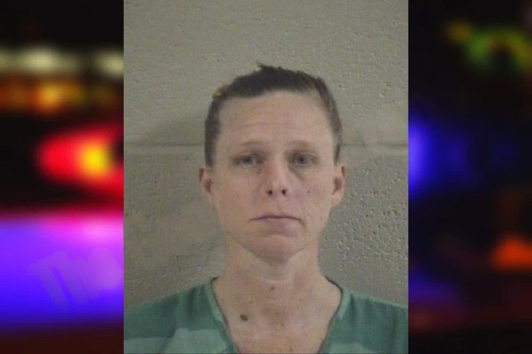 Jennifer Willoughby mugshot – Whitfield County , Georgia Jennifer Willoughby