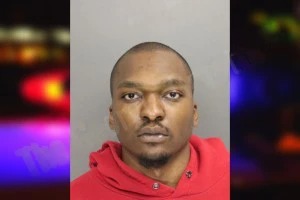 Jereme Wilson mugshot – Cobb County , Georgia Jereme Wilson mugshot