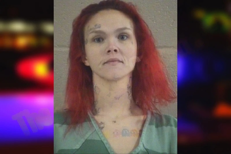 Jerri Magana Mugshots