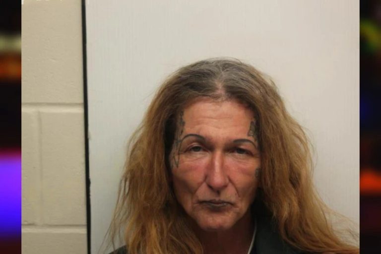 Jesse Fender mugshot – Chatham County , Georgia Jesse Fender