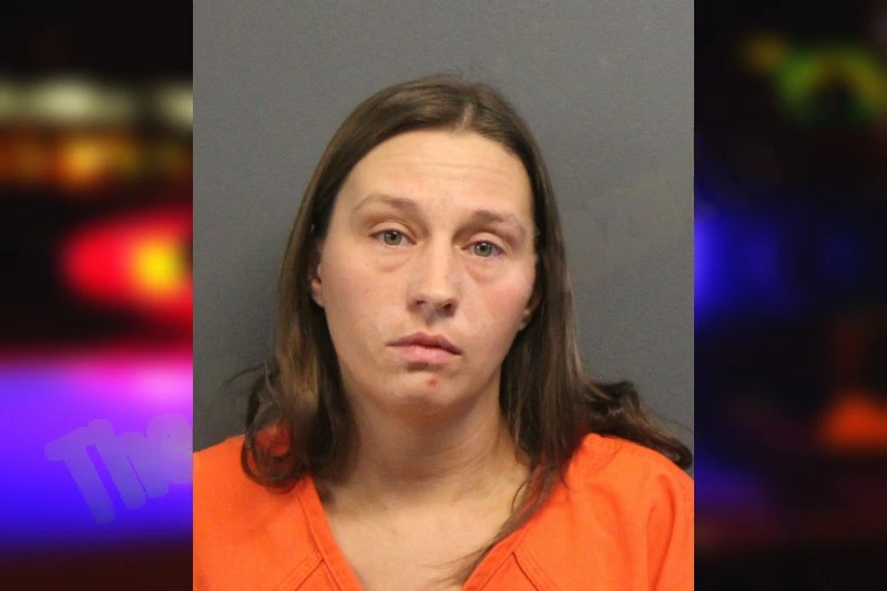 Jessica Berry mugshot – Lumpkin County , Georgia Jessica Berry mugshot