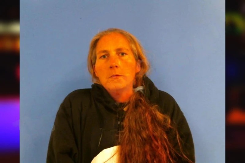 Jessica Brown Mugshots