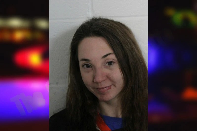 Jessica Henderson mugshot – Floyd County , Georgia Jessica Henderson mugshot