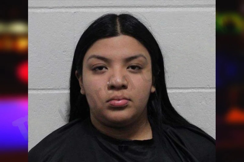 Jessica Juan Mugshots