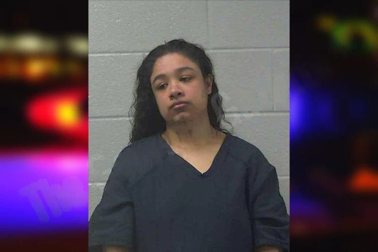 Jessica Moore mugshot – Gilmer County , Georgia Jessica Moore