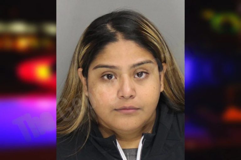 Jessica Sanchez mugshot – Cobb County , Georgia Jessica Sanchez