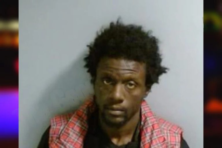 Jineal McKinnis mugshot – Fulton County , Georgia Jineal McKinnis