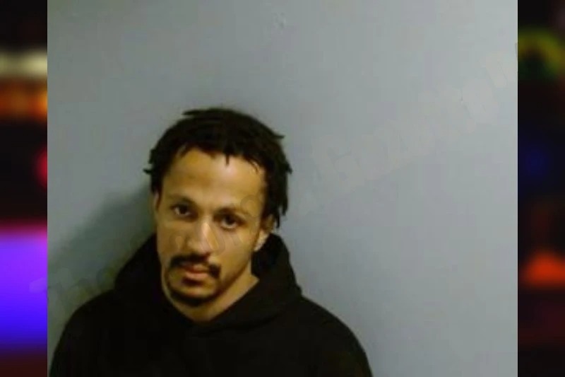 Joanah Quinones mugshot