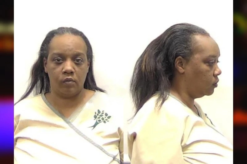 Joanna Fain mugshot – Clarke County , Georgia Joanna Fain mugshot