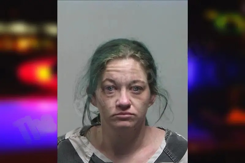 Joanna Lucas mugshot