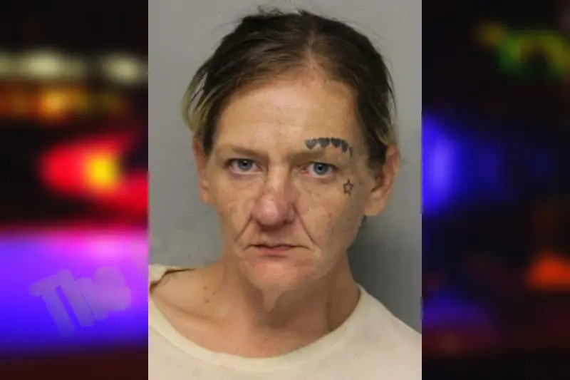 Jodi Lundgren mugshot