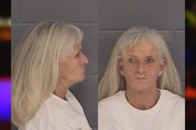 Jodi Wagner mugshot – Barrow County , Georgia Jodi Wagner