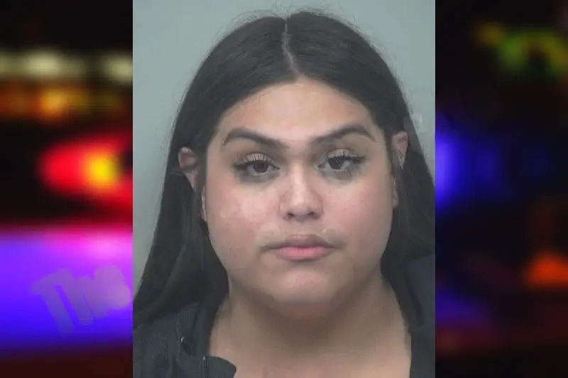 Johanna Ramirez Mugshots