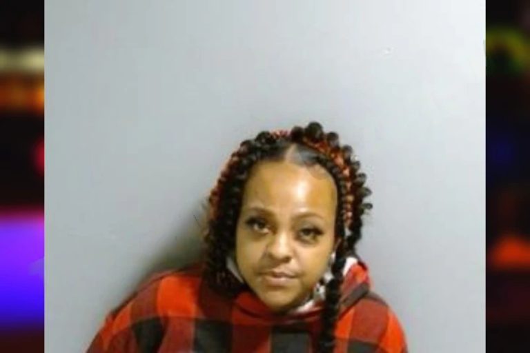 Johneka Stephens mugshot – Fulton County , Georgia Johneka Stephens
