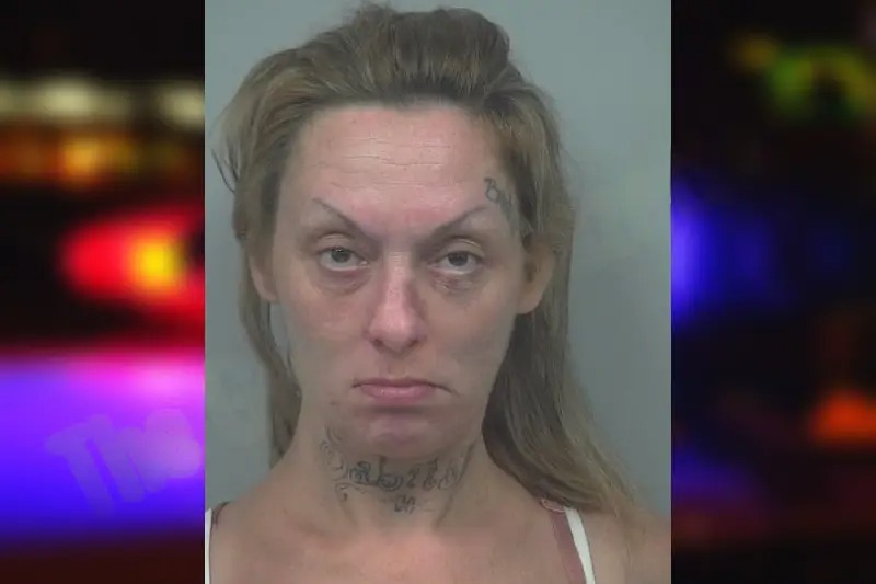 Jonquil Carter mugshot – Gwinnett County , Georgia Jonquil Carter mugshot