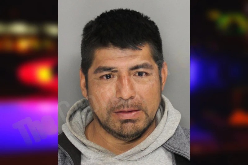 Jose Maldonado mugshot – Cobb County , Georgia Jose Maldonado mugshot