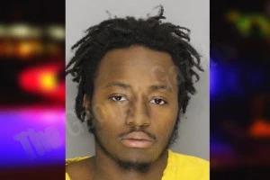 Joshua Bailey mugshot