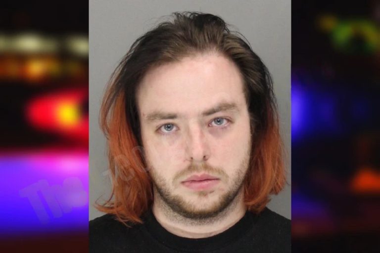 Joshua Brock mugshot – Cobb County , Georgia Joshua Brock