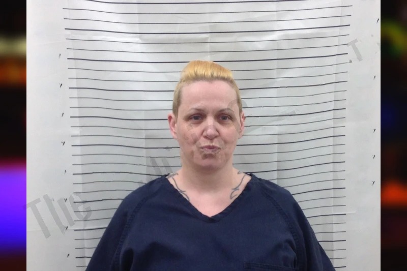 Joy Smith mugshot – Pickens County , Georgia Joy Smith mugshot