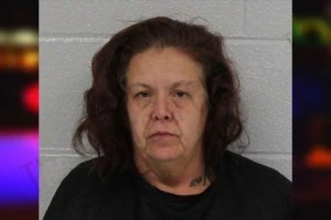 Judy Summers Mugshots