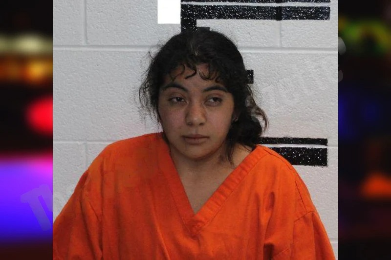 Julia Lopez Mugshots