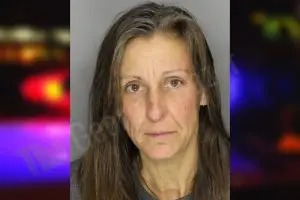 Julie Yelton mugshot – Cobb County , Georgia Julie Yelton mugshot