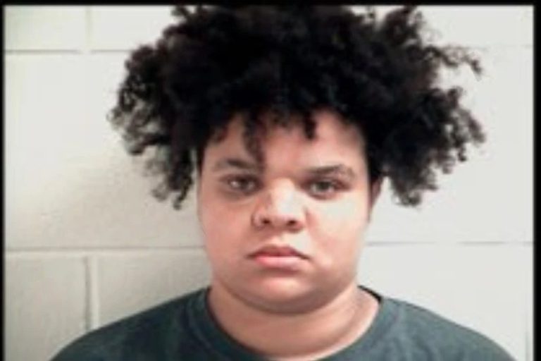 Julieanna Moody mugshot – Henry County , Georgia Julieanna Moody