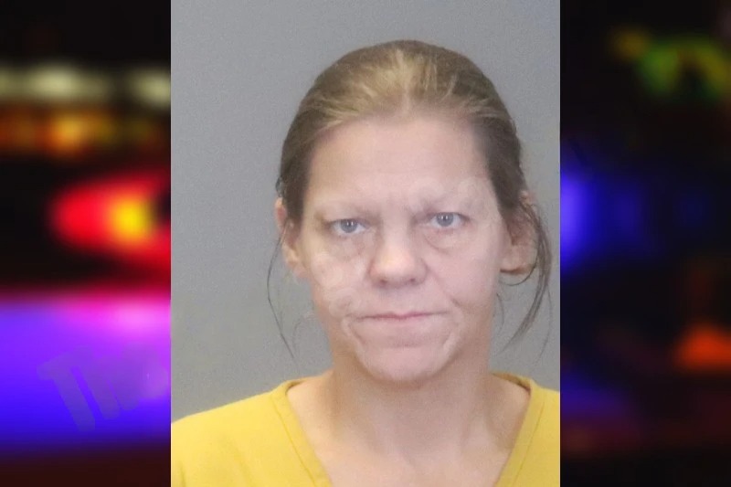 Justine Moritz Mugshots