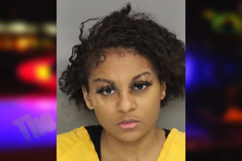 Kaiya Adams mugshot – Cobb County , Georgia Kaiya Adams mugshot