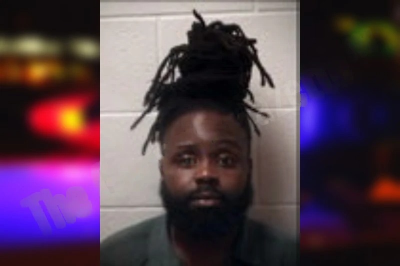 Kami Johnson Mugshots