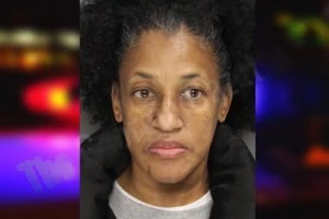 Kamili Ivey Mugshots