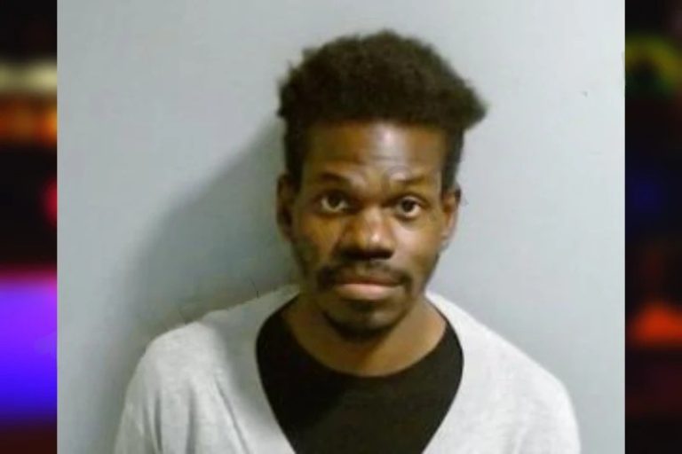 Kaniajle Turner mugshot – Fulton County , Georgia Kaniajle Turner