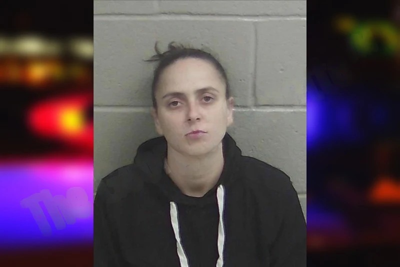 Kara Belcher mugshot – Wayne County , Georgia Kara Belcher mugshot