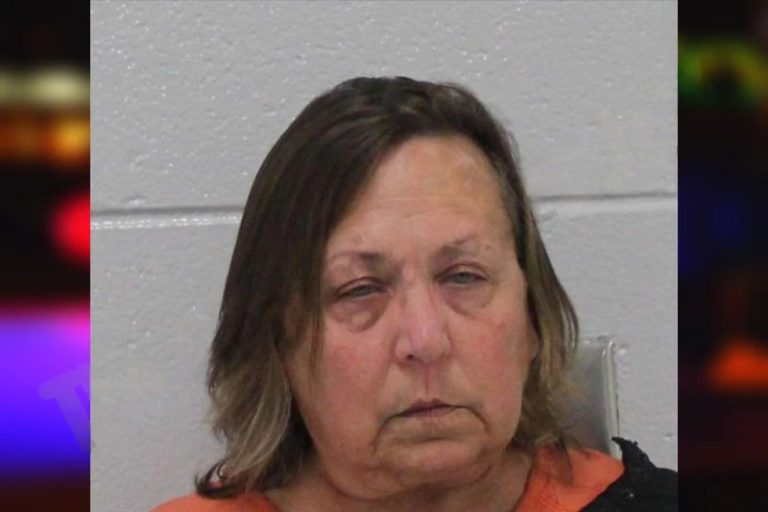 Karen Sirmons mugshot – Carroll County , Georgia Karen Sirmons