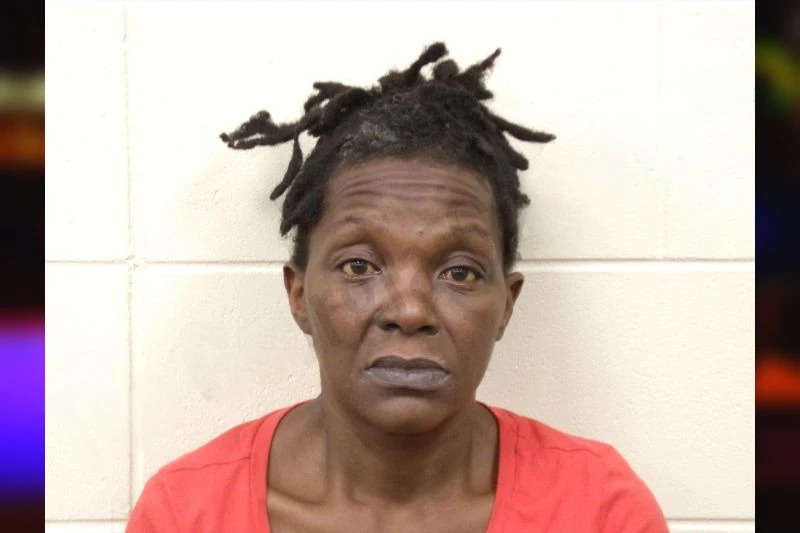 Karese Johnson Mugshots