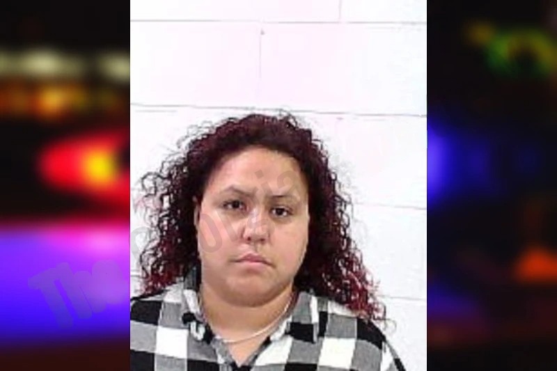 Karina Sanabria Mugshots